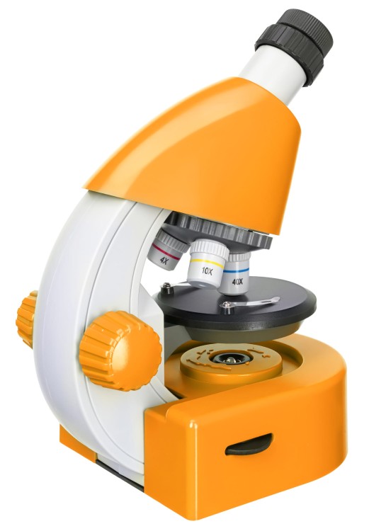 (PL) Mikroskop Discovery Micro Solar z książką-1431403