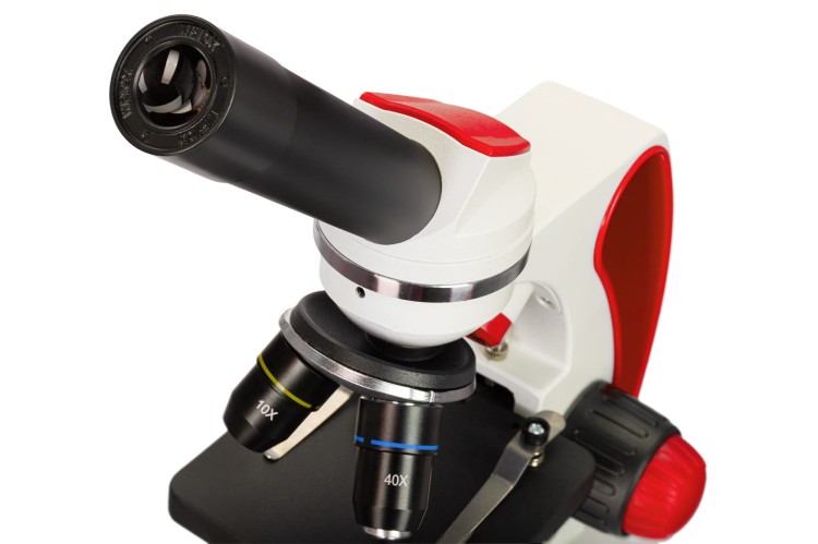 (PL) Mikroskop Discovery Pico Terra z książką-1432514
