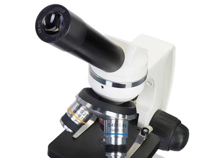(PL) Mikroskop Discovery Femto Polar z książką-1430664