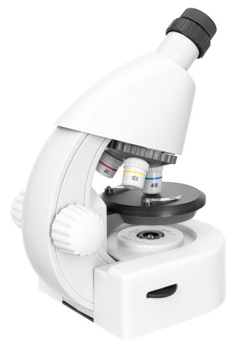 (PL) Mikroskop Discovery Micro Polar z książką-1431386
