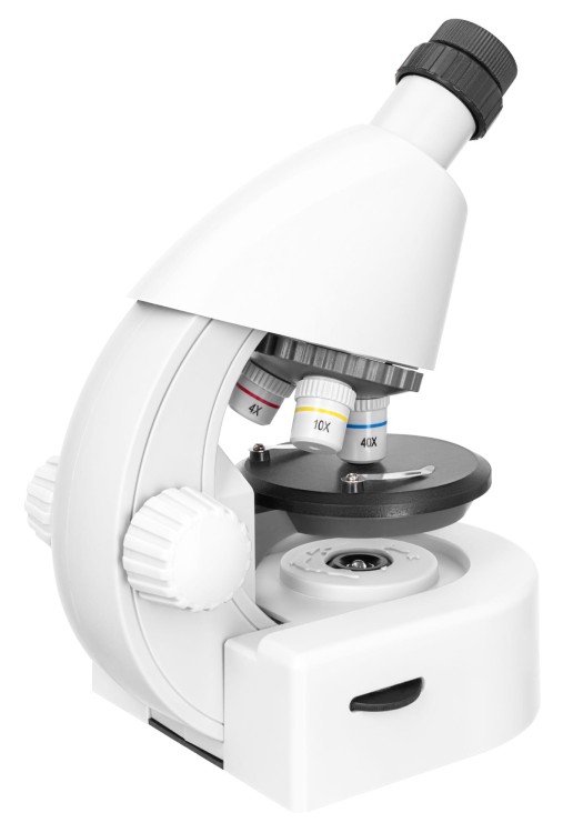 (PL) Mikroskop Discovery Micro Polar z książką-1431386