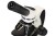 (PL) Mikroskop Discovery Pico Polar z książką-1432499