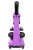 (PL) Mikroskop Levenhuk Rainbow 2L Amethyst\Ametyst-1438858