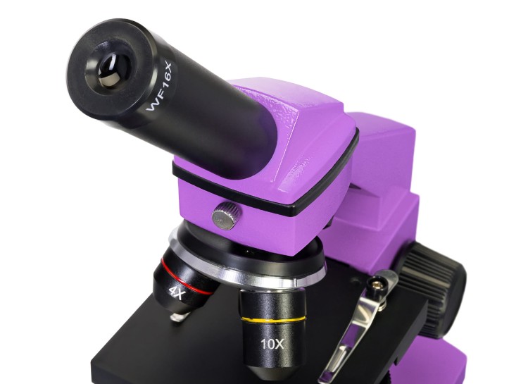 (PL) Mikroskop Levenhuk Rainbow 2L PLUS Amethyst\Ametyst-1438946