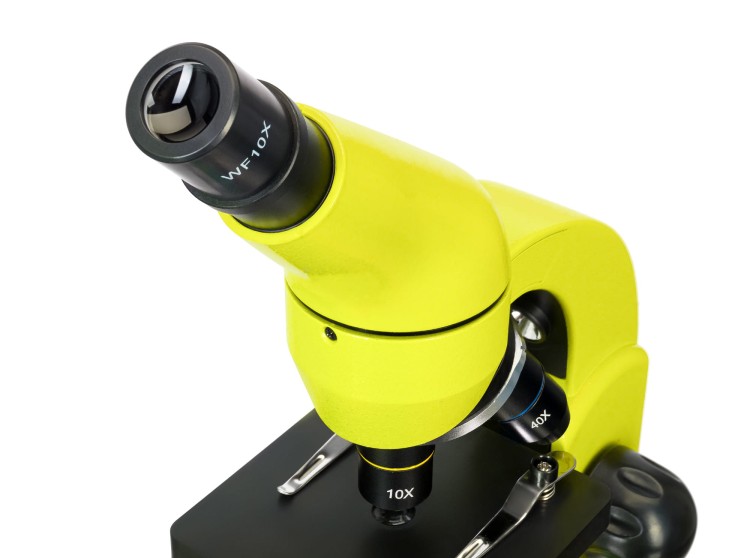 (PL) Mikroskop Levenhuk Rainbow 50L Lime\Limonka-1439067