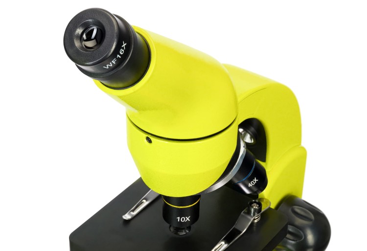 (PL) Mikroskop Levenhuk Rainbow 50L PLUS Lime\Limonka-1439196