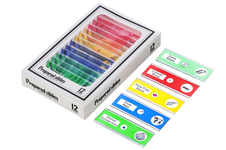 Mikroskop cyfrowy Levenhuk Rainbow DM700 LCD-1428020