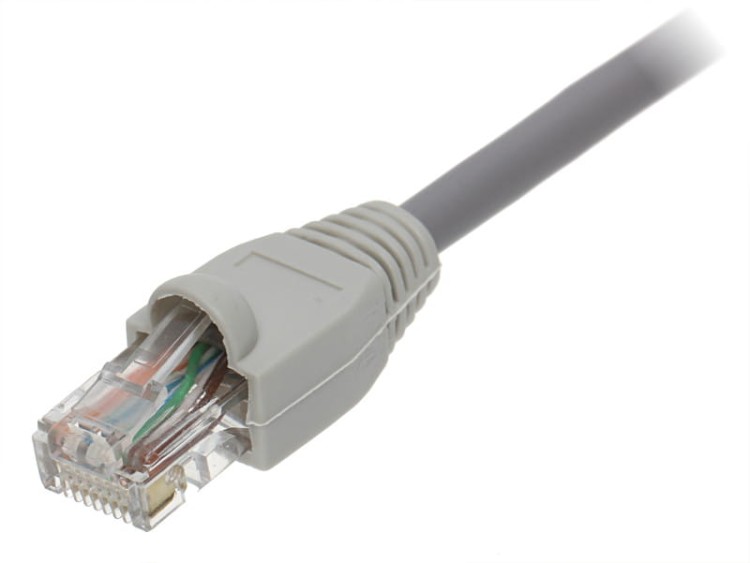 OSŁONA WTYKU RJ-45 RJ45/WP*P10-1354347