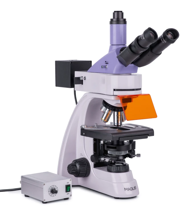 Mikroskop fluorescencyjny MAGUS Lum 400L-1622417