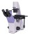 Odwrócony mikroskop biologiczny MAGUS Bio V300-1616913