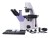 Odwrócony mikroskop biologiczny MAGUS Bio V300-1616914