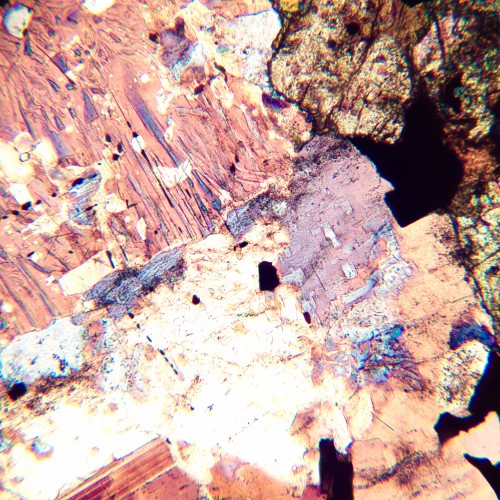 Mikroskop polaryzacyjny MAGUS Pol 800-1771403