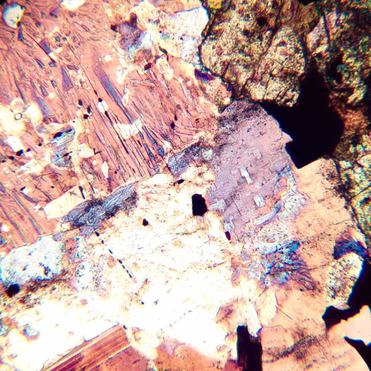 Mikroskop polaryzacyjny MAGUS Pol 800-1771403