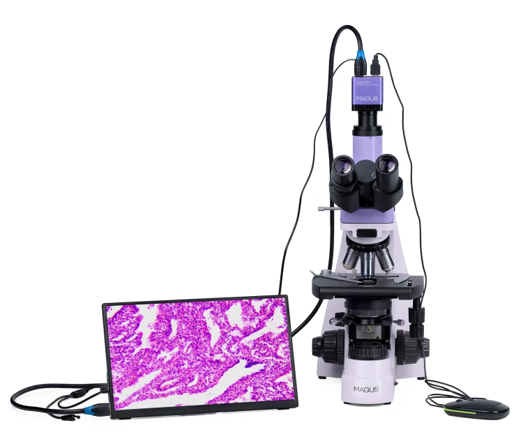 Mikroskop biologiczny cyfrowy MAGUS Bio D250T LCD-1656872