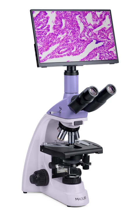 Mikroskop biologiczny cyfrowy MAGUS Bio D250T LCD-1656871
