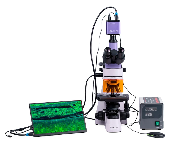 Mikroskop fluorescencyjny cyfrowy MAGUS Lum D400 LCD-1661333