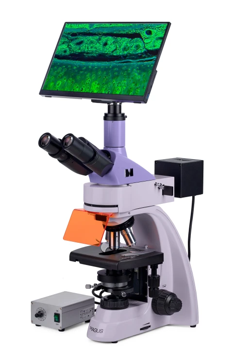 Mikroskop fluorescencyjny cyfrowy MAGUS Lum D400L LCD-1661348