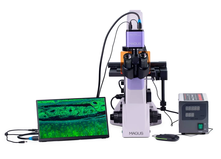 Odwrócony mikroskop fluorescencyjny cyfrowy MAGUS Lum VD500 LCD-1673694