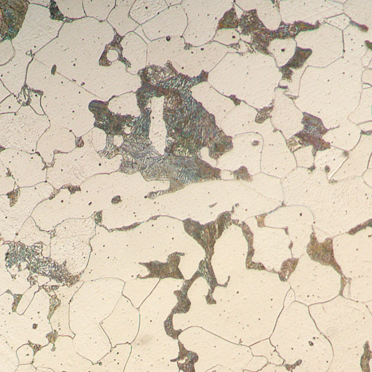 Mikroskop metalurgiczny cyfrowy MAGUS Metal D630-1771460