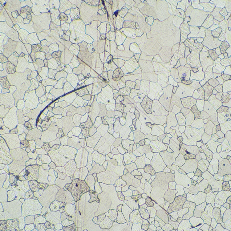 Mikroskop metalurgiczny cyfrowy MAGUS Metal D630-1771462