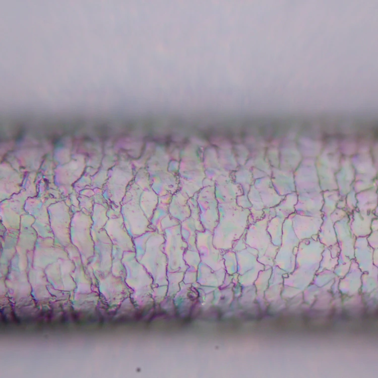 Mikroskop polaryzacyjny cyfrowy MAGUS Pol D800 LCD-1771515