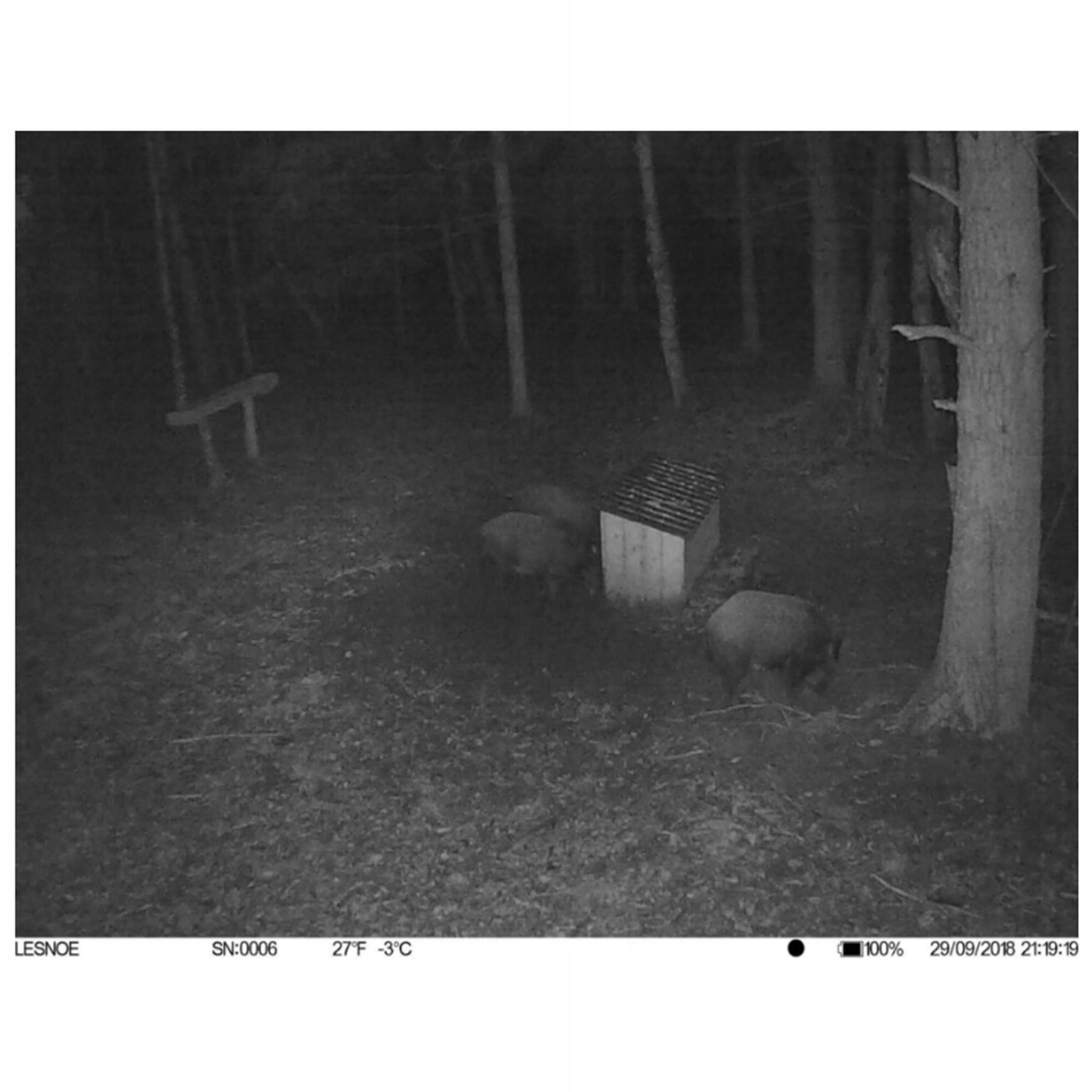 BL480L-P Fotopułapka - widok w nocy.jpg