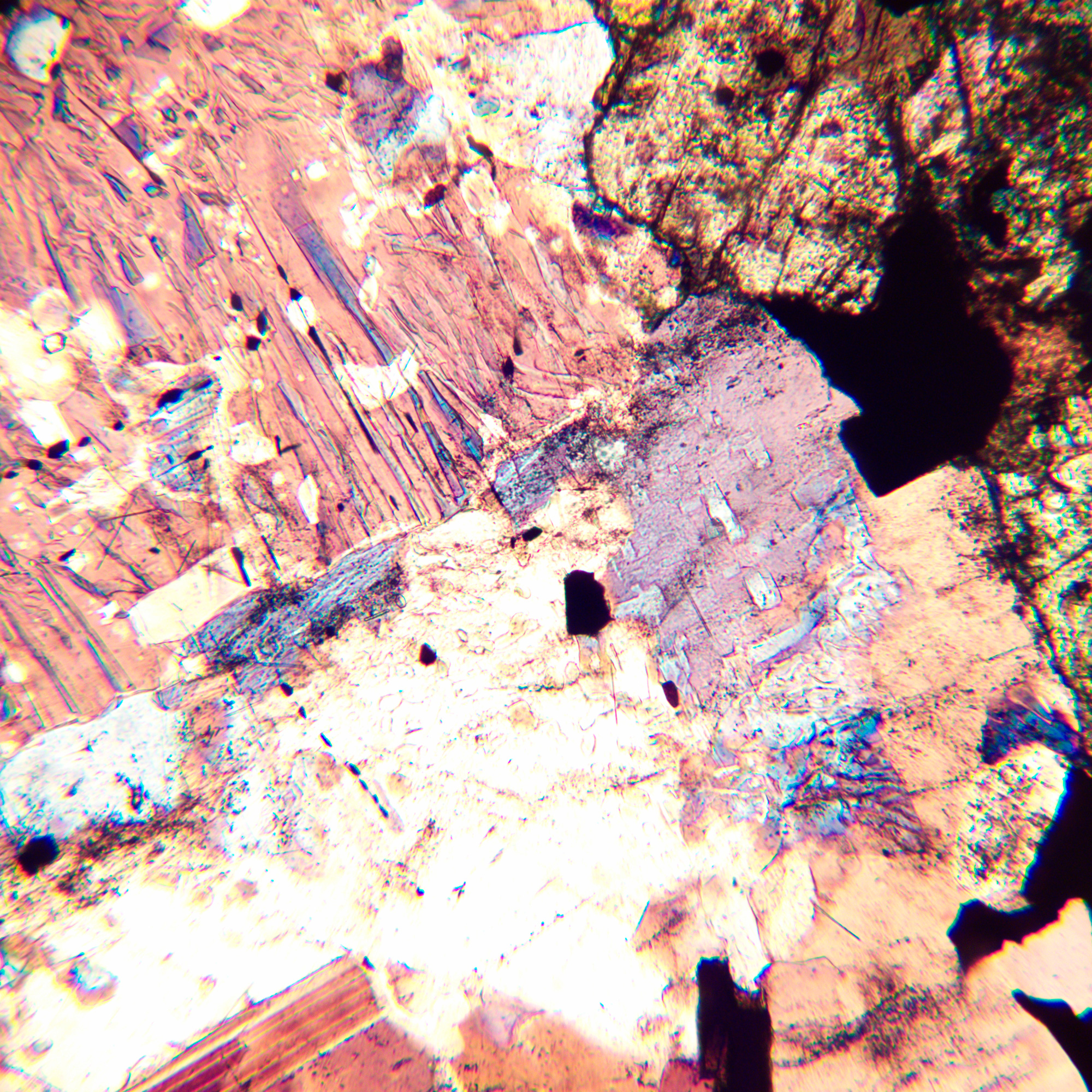 Mikroskop polaryzacyjny MAGUS Pol 800-1771403