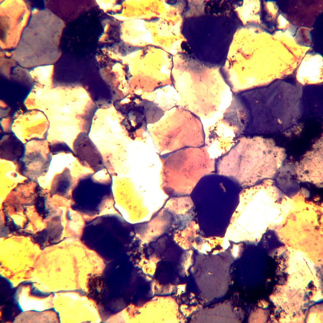 Mikroskop polaryzacyjny MAGUS Pol 800-1771405