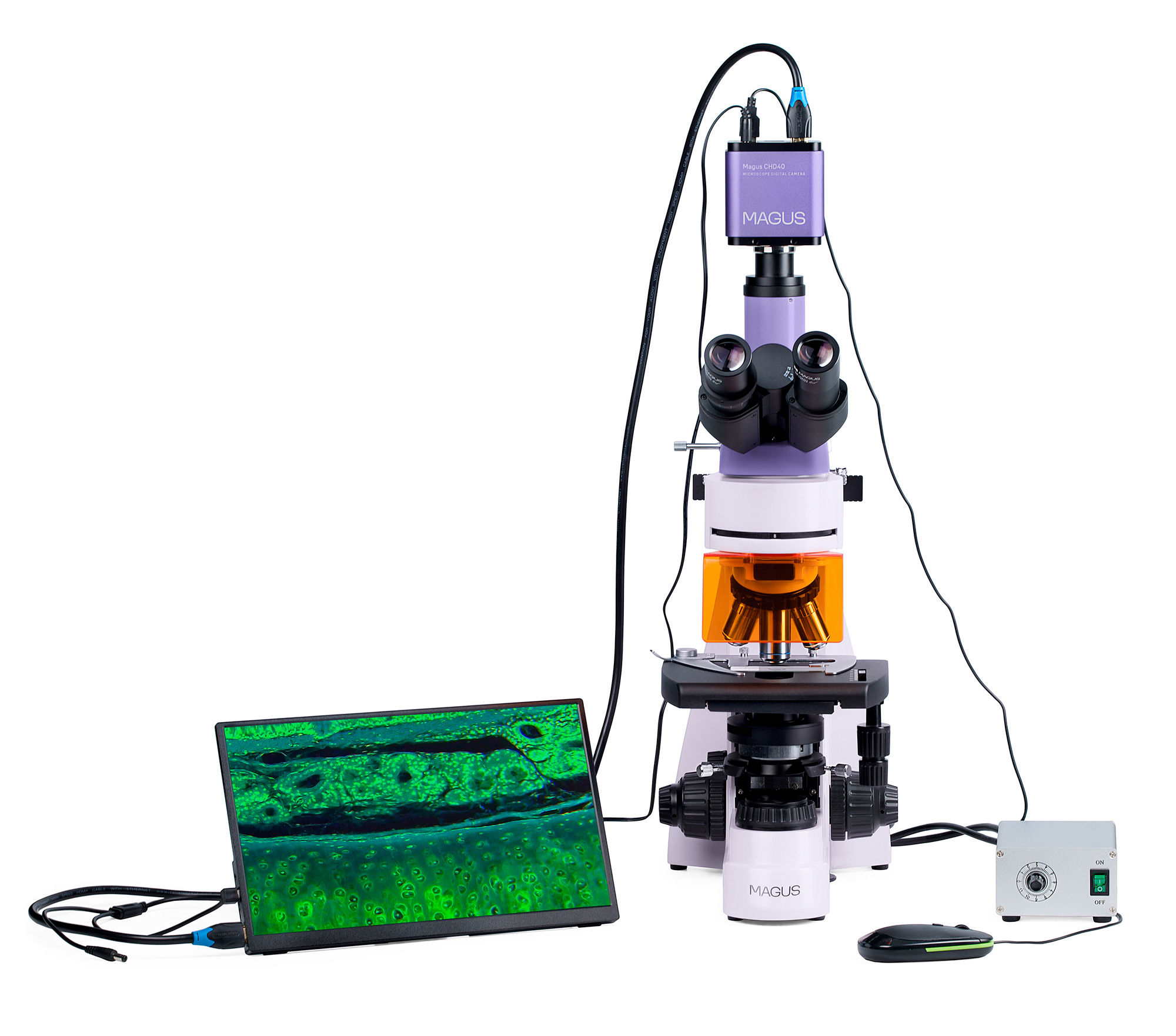 Mikroskop fluorescencyjny cyfrowy MAGUS Lum D400L LCD-1661342