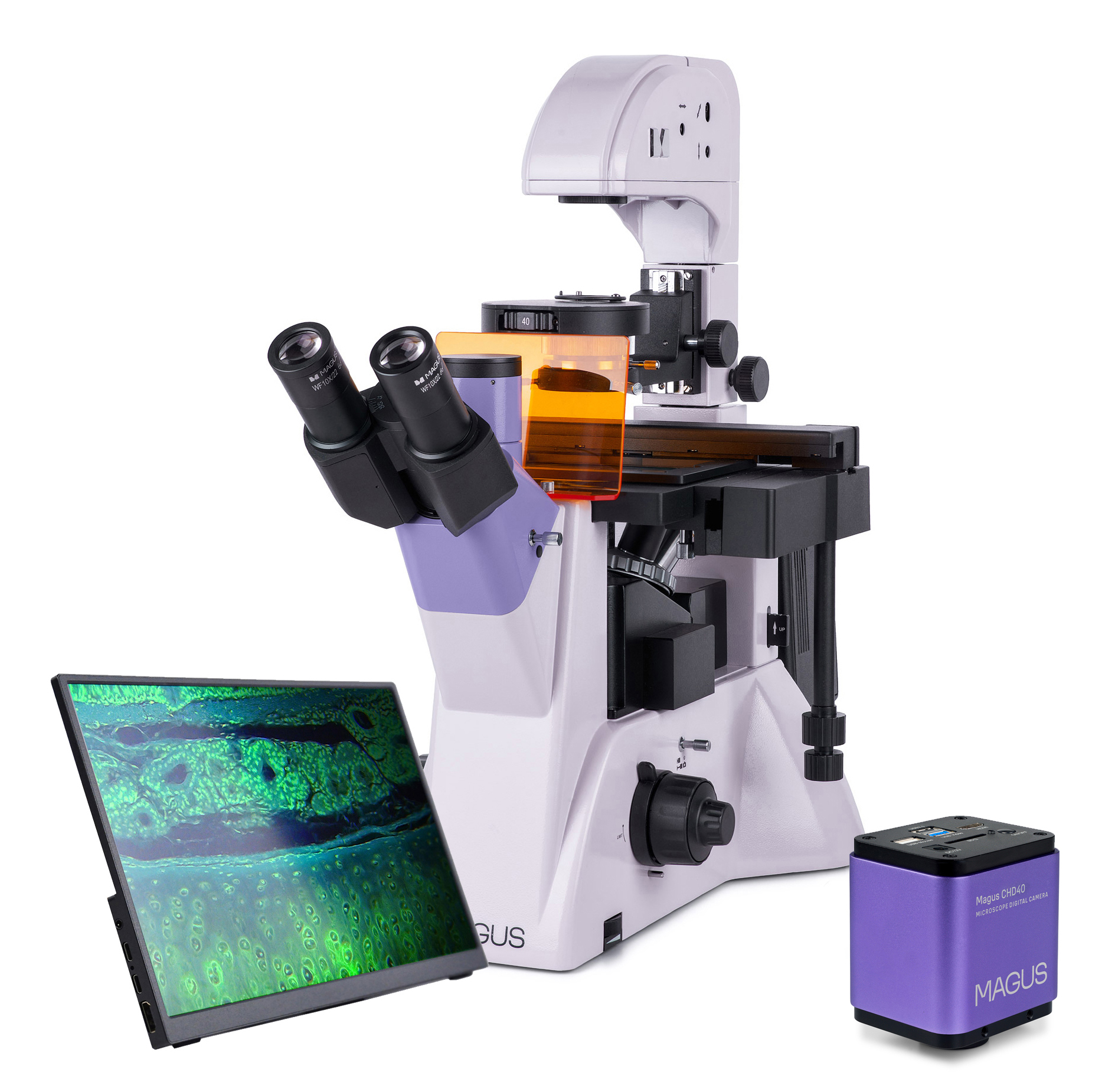 Odwrócony mikroskop fluorescencyjny cyfrowy MAGUS Lum VD500 LCD-1673691