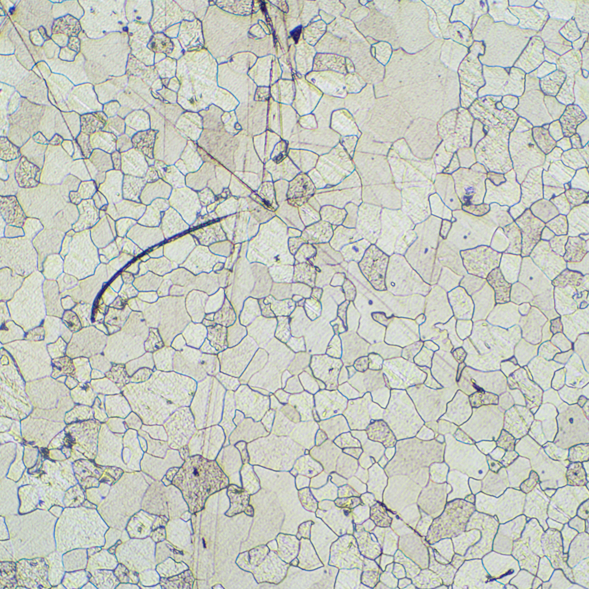 Mikroskop metalurgiczny cyfrowy MAGUS Metal D630-1771462