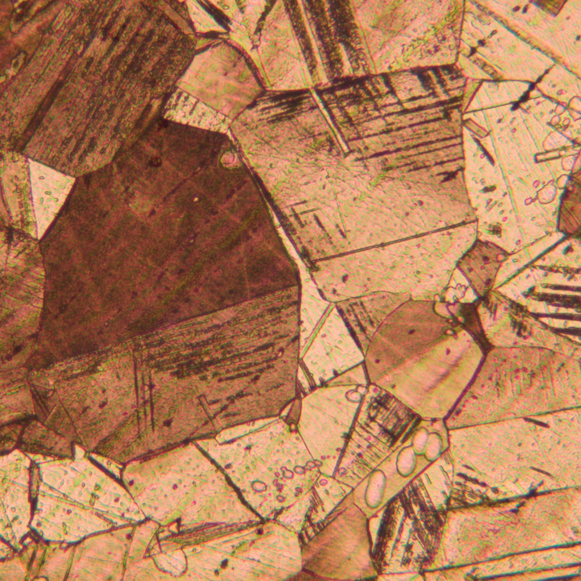 Mikroskop metalurgiczny cyfrowy MAGUS Metal D650-1771477