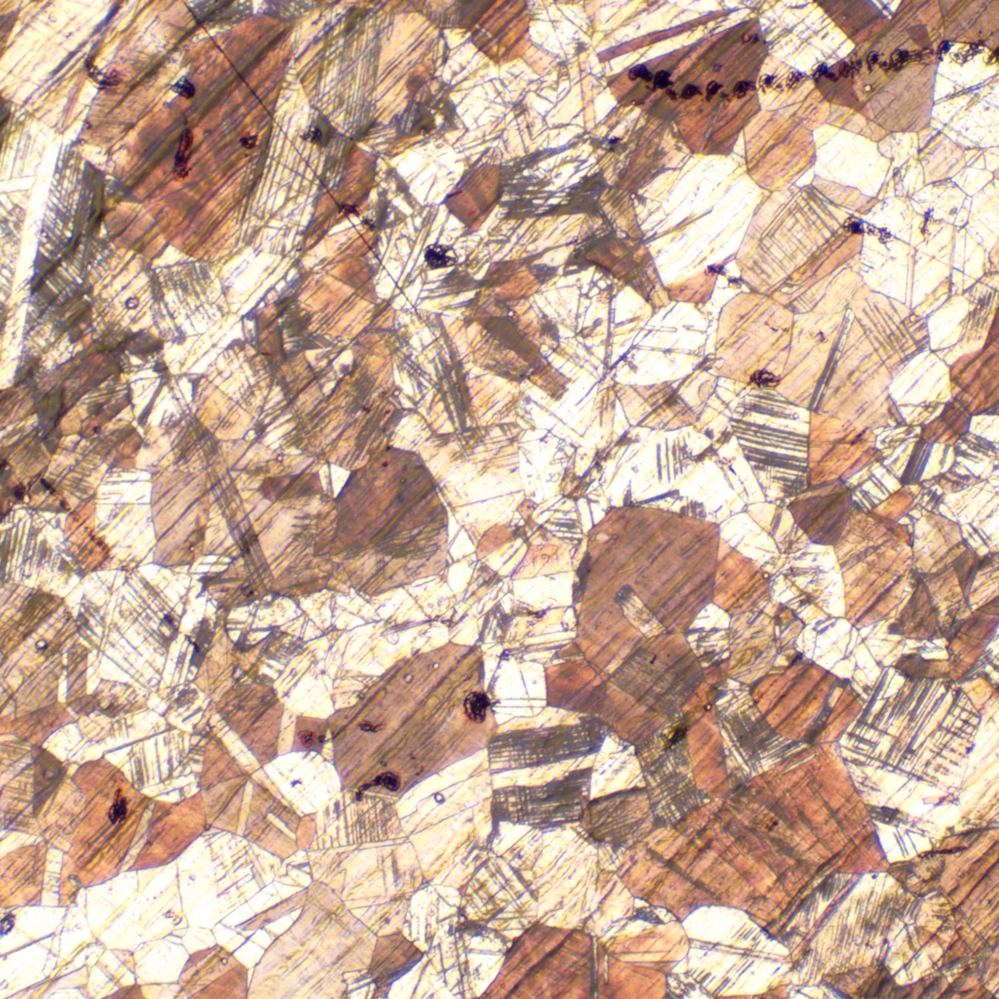 Mikroskop metalurgiczny cyfrowy MAGUS Metal D650-1771478